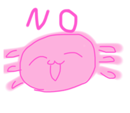 567644255