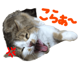 567646404