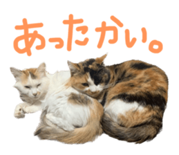 567646428