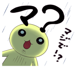 567696264