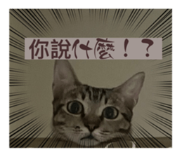 567711542