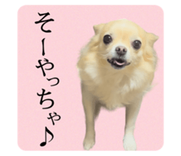 567724182