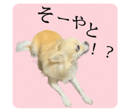 567724184