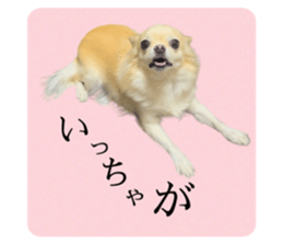 567724185