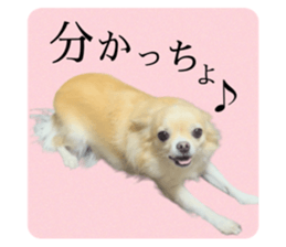 567724186
