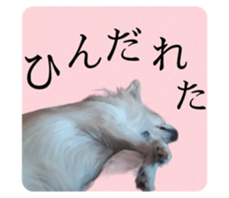 567724194