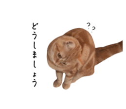 567755693