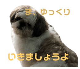 567771179