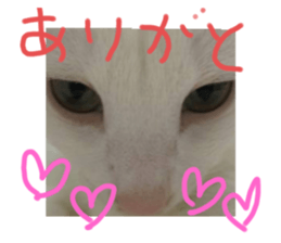 567799061