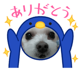 567799530