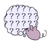 567848483