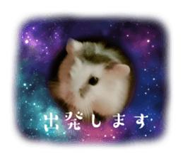 567853805