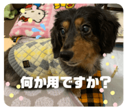 567854891