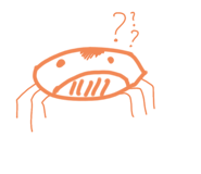 567866312