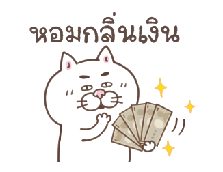 แมวหน้ามึน รูปที่ 4