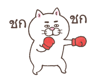 แมวหน้ามึน รูปที่ 5