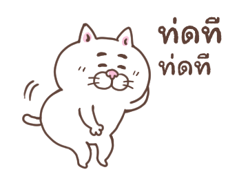 แมวหน้ามึน รูปที่ 13
