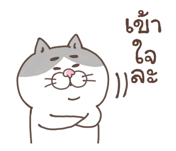 แมวหน้ามึน รูปที่ 14
