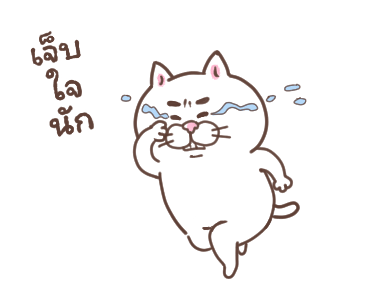 แมวหน้ามึน รูปที่ 16