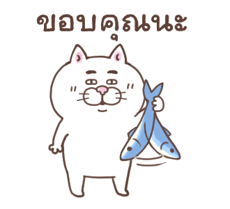 แมวหน้ามึน รูปที่ 18
