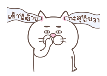 แมวหน้ามึน รูปที่ 20