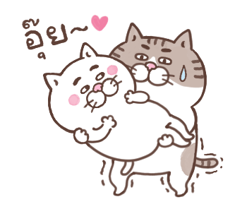 แมวหน้ามึน รูปที่ 21
