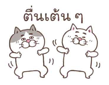 แมวหน้ามึน รูปที่ 22