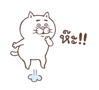 แมวหน้ามึน รูปที่ 23