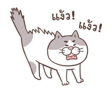 แมวหน้ามึน รูปที่ 24