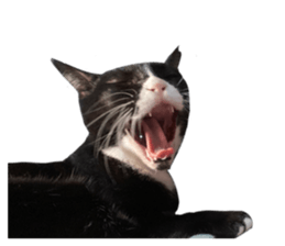 567909660