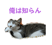 568070750