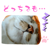 568070765