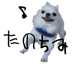 568078275