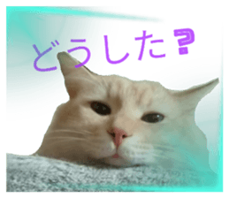 568119890