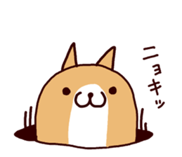 5681443