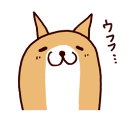 5681460