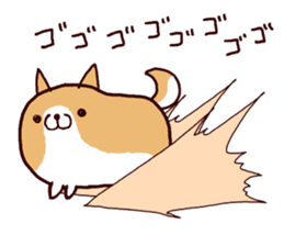 5681466