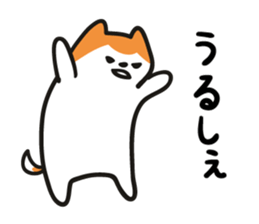 5681558