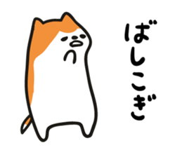 5681559
