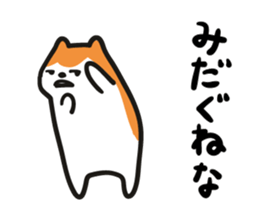 5681567