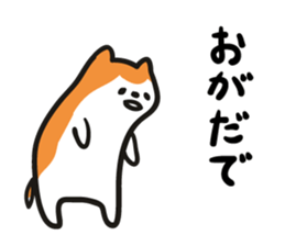 5681571