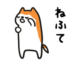 5681581