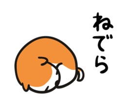 5681582