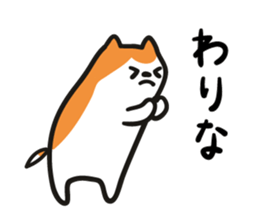 5681585