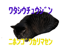 568201088
