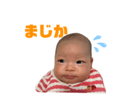 568253620