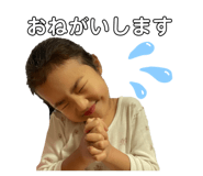 568259135