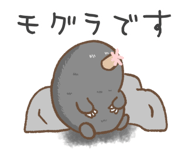 568288390