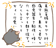 568288425