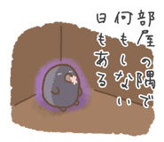 568288427